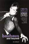 dark-entries-bauhaus-beyond-ian-shirley-paperback-cover-art