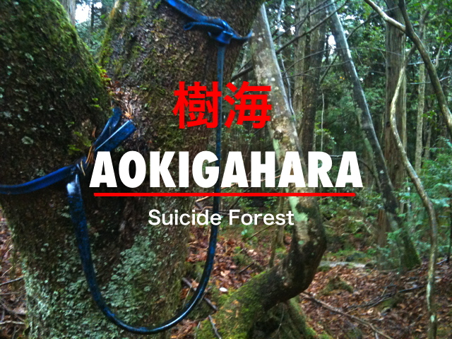 aokigahara-suicide-forest